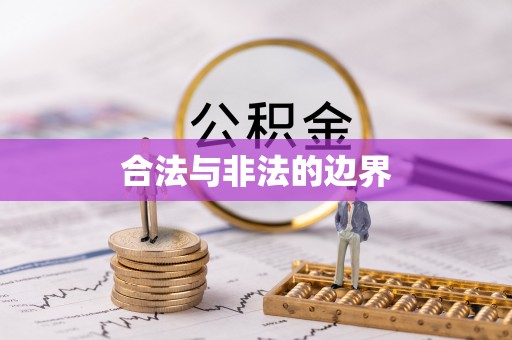 振兴合法与非法的边界