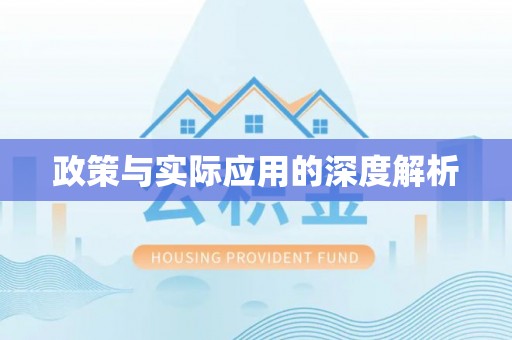 振兴政策与实际应用的深度解析