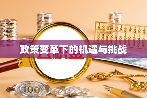 振兴政策变革下的机遇与挑战